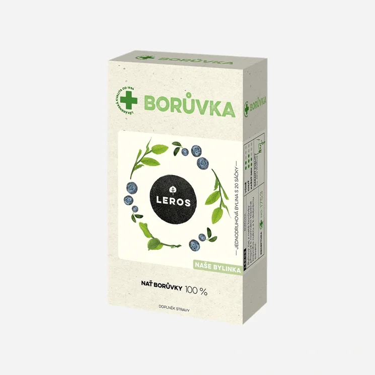 Borůvka