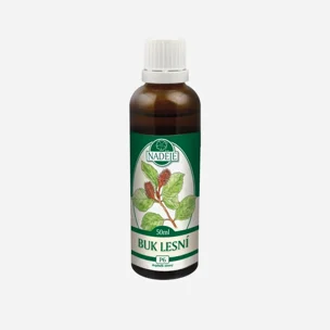 Buk lesní tinktura z pupenů 6 x 50 ml