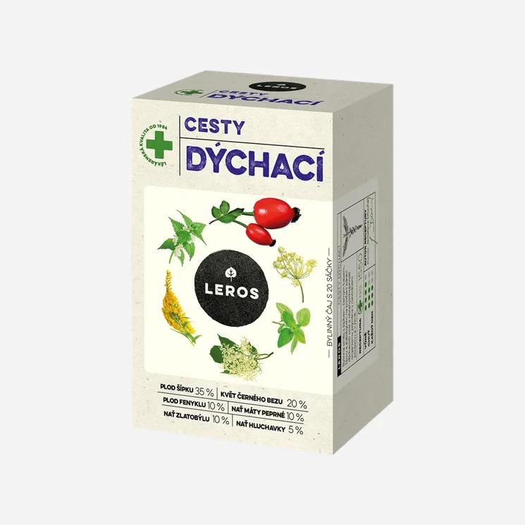 Cesty dýchací