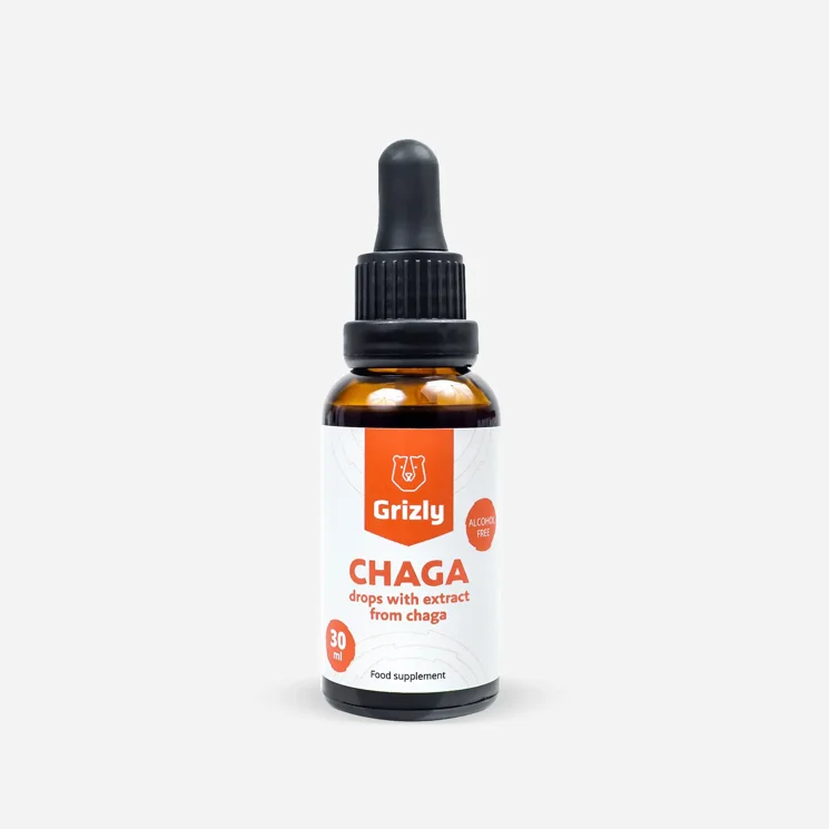 Chaga
