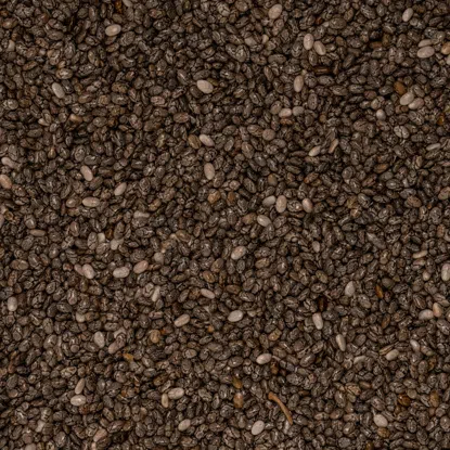 Chia semínka 6 x 1000 g