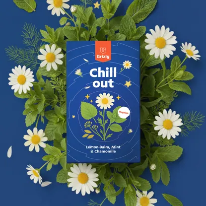 Chill out BIO bylinný čaj 6 x 20 ks
