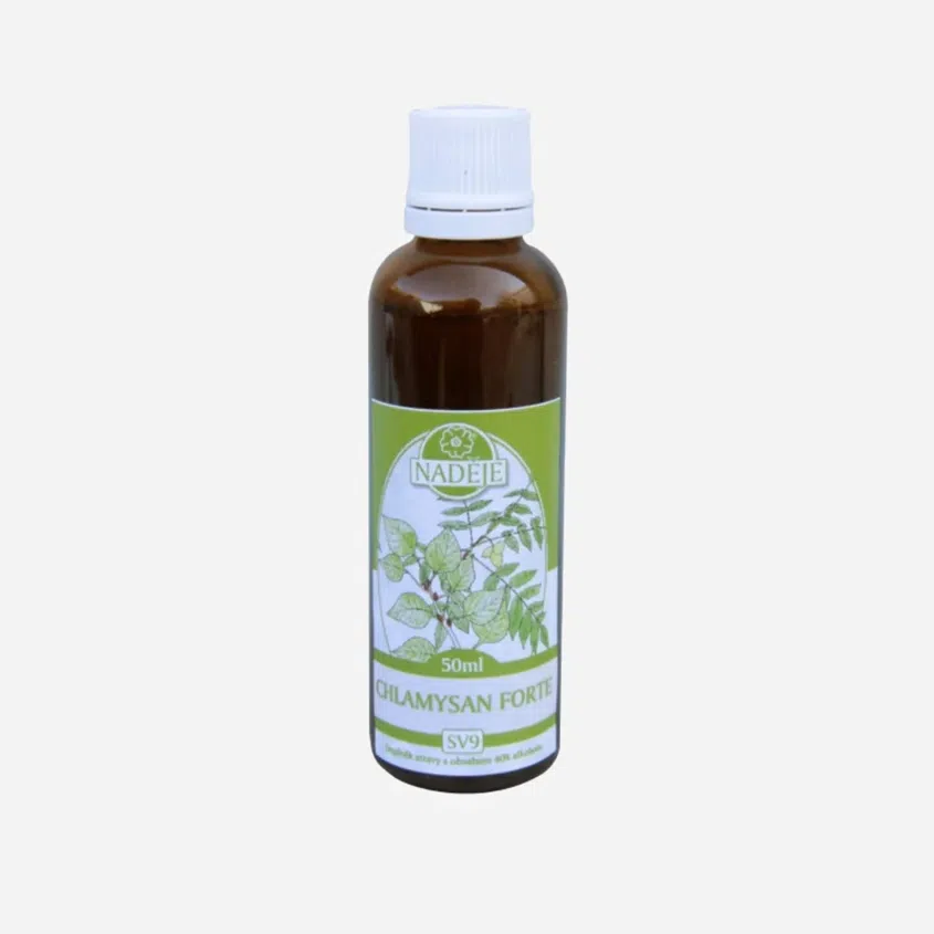 Chlamysan forte 6 x 50 ml