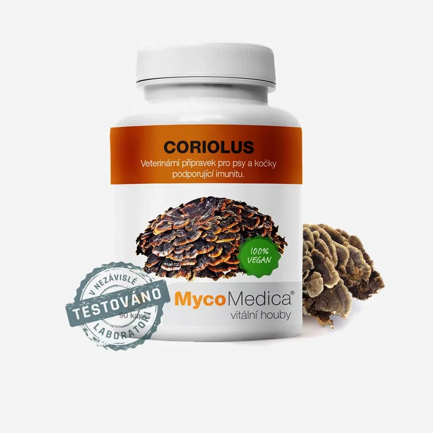 Coriolus 6 x 90 tablet