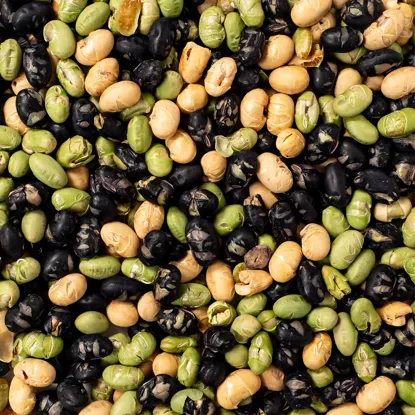 Fazole solené mix 6 x 500 g