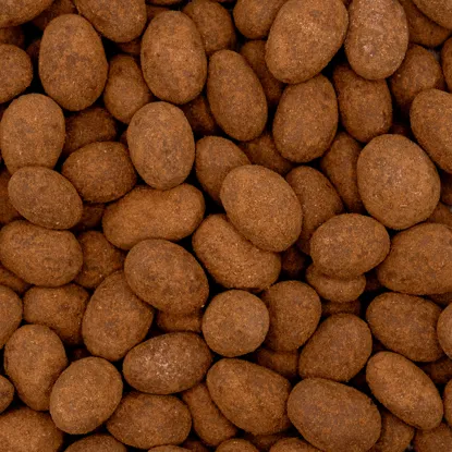 Mandle v mléčné čokoládě a skořici 6 x 250 g
