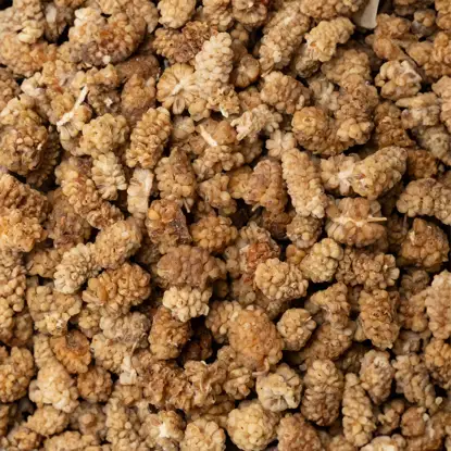 Moruše bílá BIO