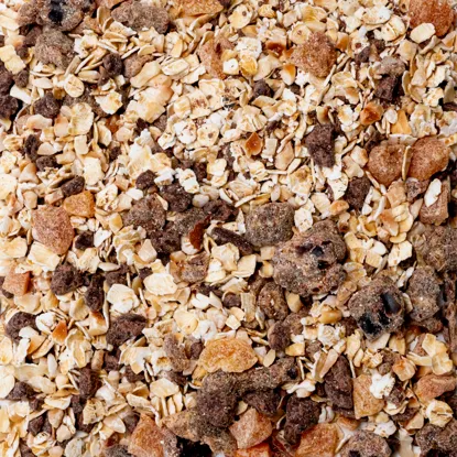 Ovesné kaše hořká čokoláda & lískové ořechy 6 x 600 g